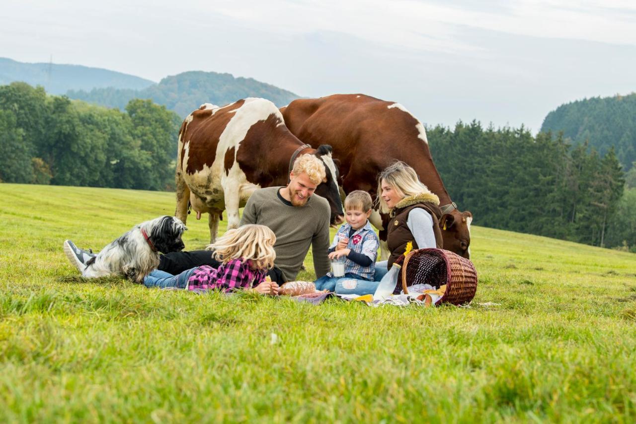 Westfalenhof Garni Willingen  Kültér fotó