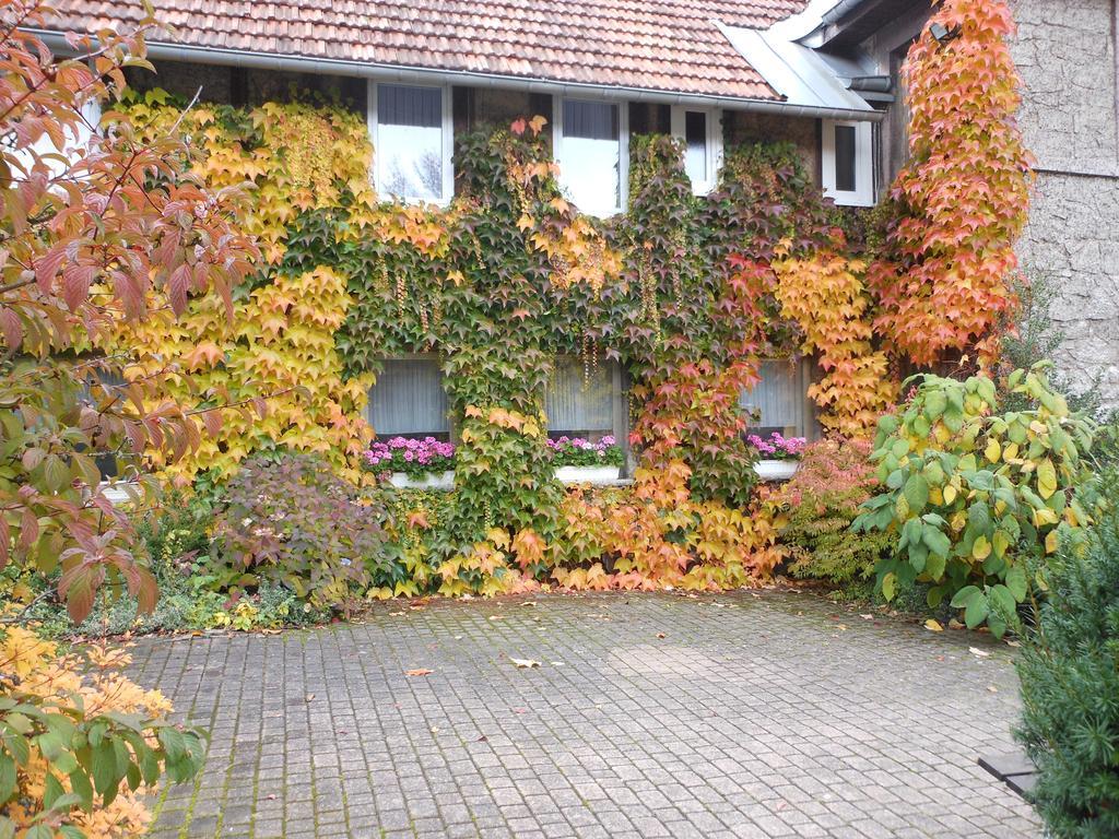 Westfalenhof Garni Willingen  Kültér fotó