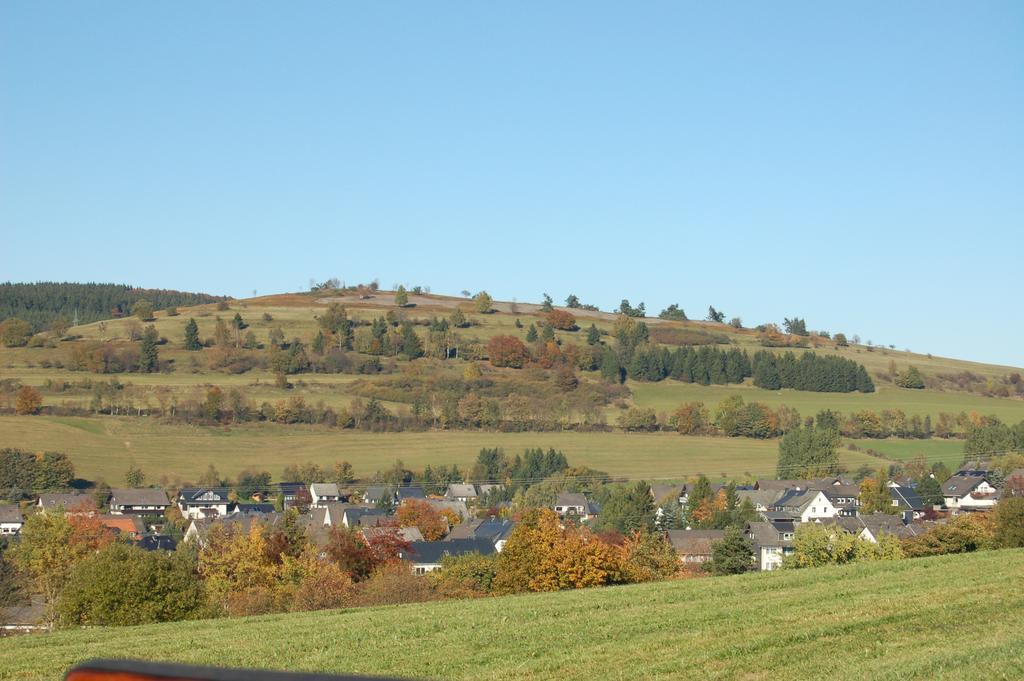 Westfalenhof Garni Willingen  Kültér fotó